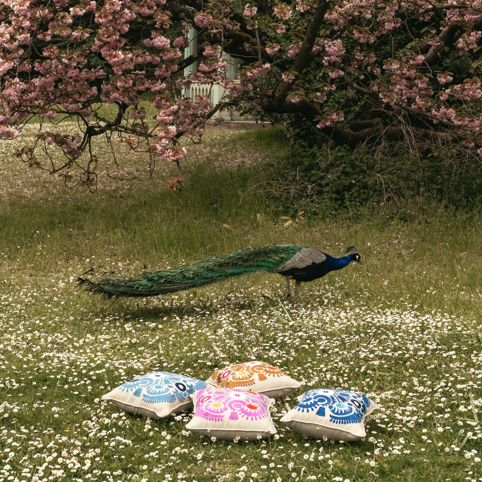 COUSSIN SUZANI - FLEUR PIVOINE