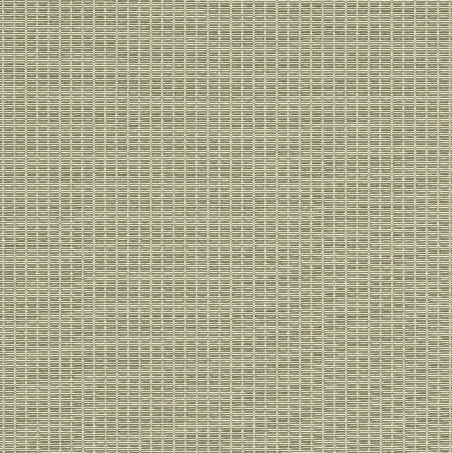 SAMPLE - LINEA MOUSSE - SEPTEMBER NOVELTY