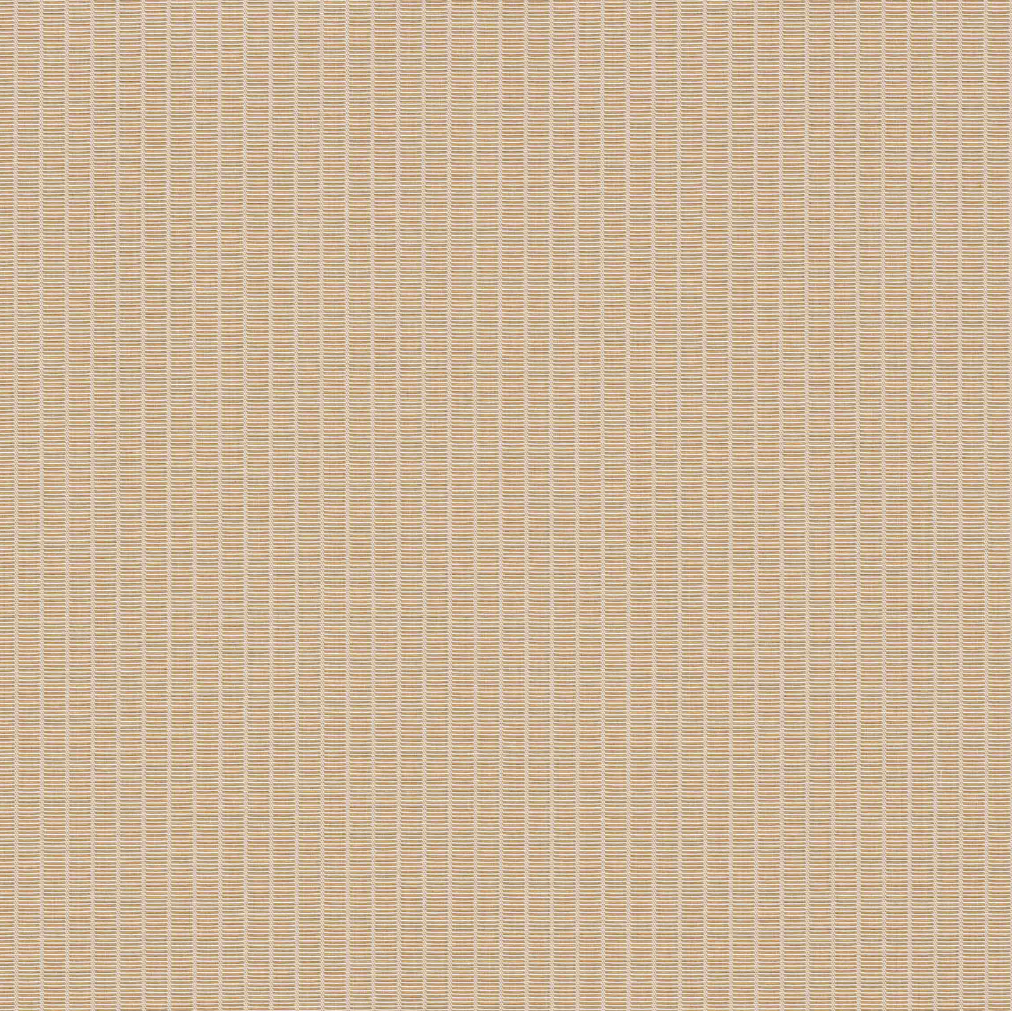 SAMPLE - LINEA MUSCADE - SEPTEMBER NOVELTY