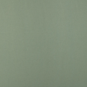 Verdigris